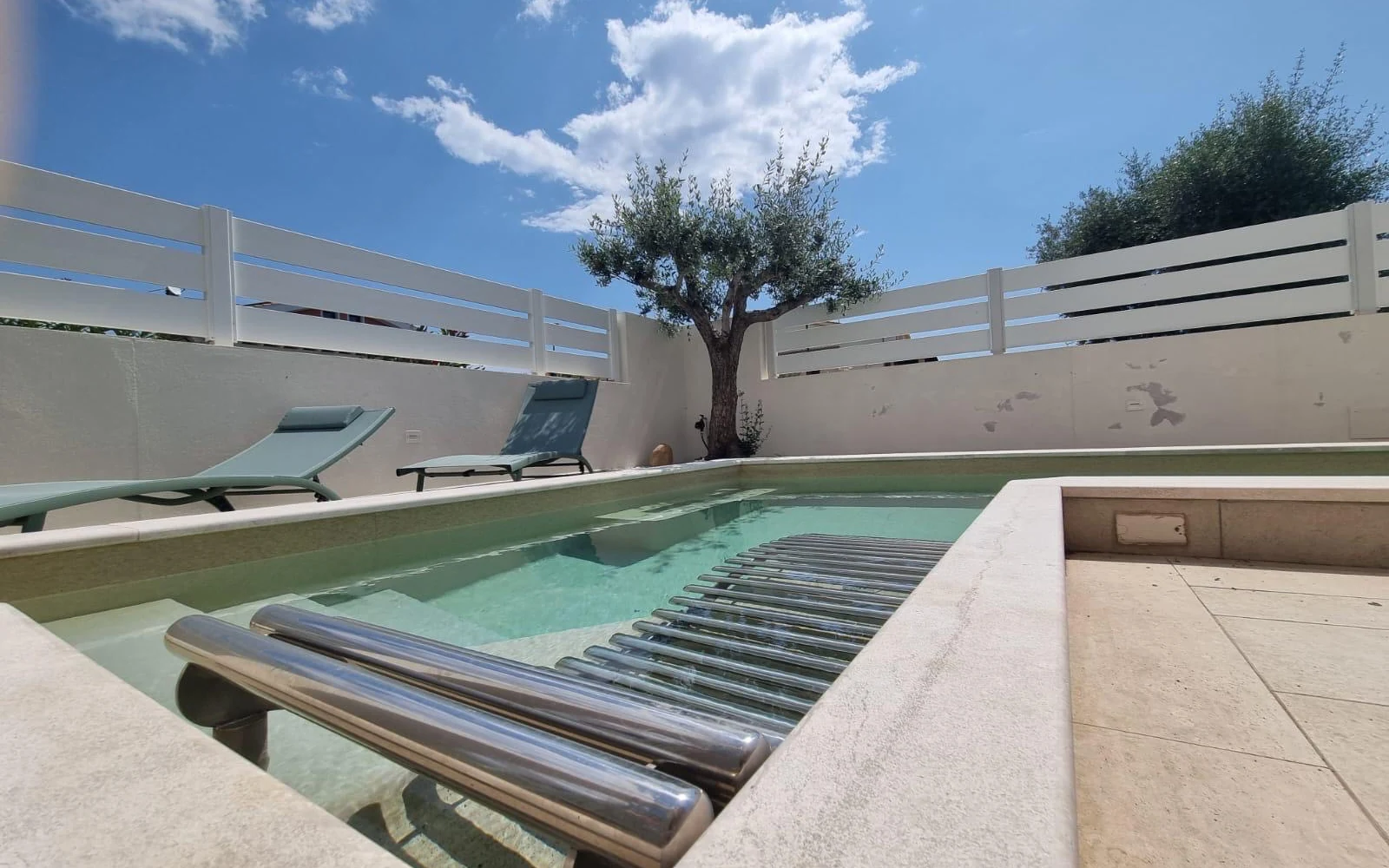 La piscina con la scala e l'ulivo